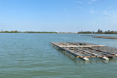 LINE_ALBUM_20241107_241114_11