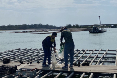 LINE_ALBUM_20241107_241114_7