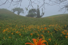 LINE_ALBUM_TAIWAN-MEMORIES_241114_43