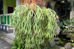 LINE_ALBUM_0422-文化組_250825_281
